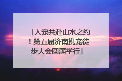 人宠共赴山水之约！第五届济南携宠徒步大会圆满举行