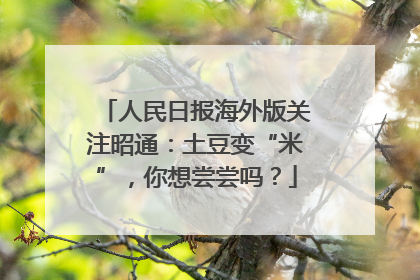 人民日报海外版关注昭通：土豆变“米”，你想尝尝吗？