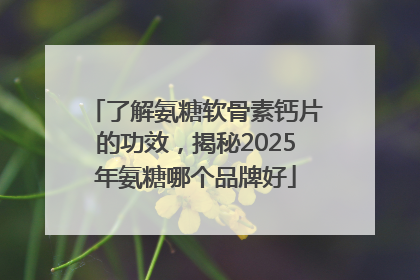 了解氨糖软骨素钙片的功效，揭秘2025年氨糖哪个品牌好