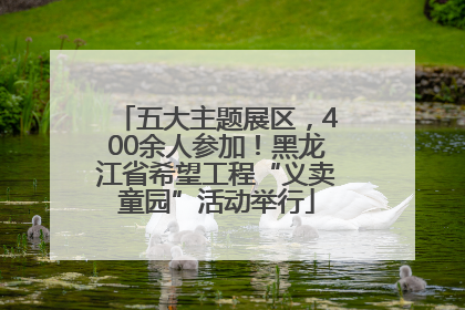 五大主题展区，400余人参加！黑龙江省希望工程“义卖童园”活动举行