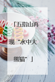 五指山再现“水中大熊猫”