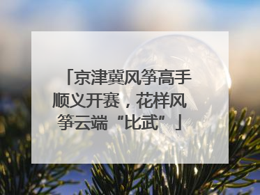 京津冀风筝高手顺义开赛，花样风筝云端“比武”