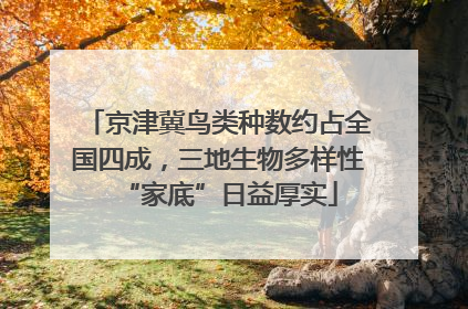 京津冀鸟类种数约占全国四成，三地生物多样性“家底”日益厚实