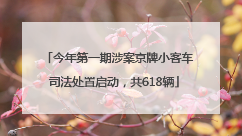 今年第一期涉案京牌小客车司法处置启动，共618辆