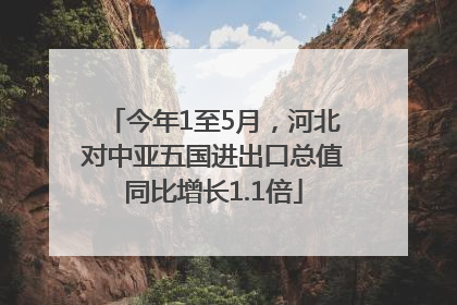 今年1至5月，河北对中亚五国进出口总值同比增长1.1倍