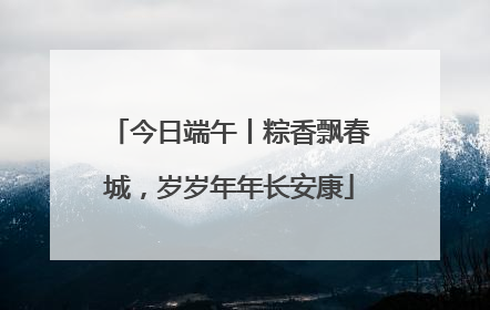 今日端午丨粽香飘春城，岁岁年年长安康