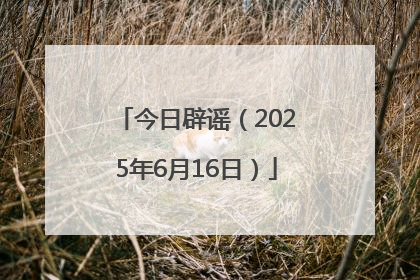 今日辟谣（2025年6月16日）