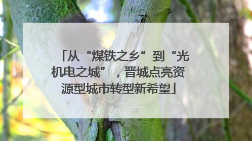 从“煤铁之乡”到“光机电之城”，晋城点亮资源型城市转型新希望