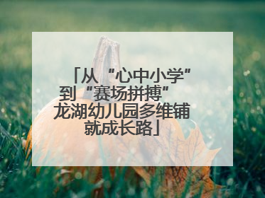 从“心中小学”到“赛场拼搏” 龙湖幼儿园多维铺就成长路
