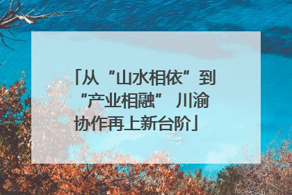 从“山水相依”到“产业相融” 川渝协作再上新台阶