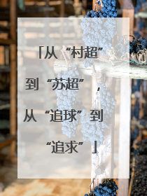 从“村超”到“苏超”，从“追球”到“追求”