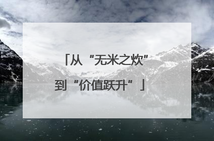 从“无米之炊”到“价值跃升”