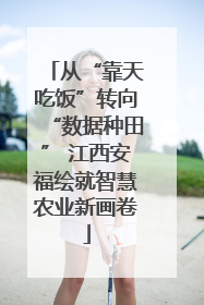 从“靠天吃饭”转向“数据种田” 江西安福绘就智慧农业新画卷