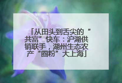 从田头到舌尖的“共富”快车：沪湖供销联手，湖州生态农产“圈粉”大上海