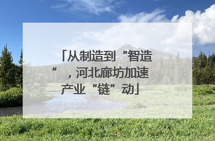从制造到“智造”，河北廊坊加速产业“链”动