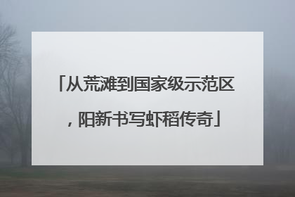 从荒滩到国家级示范区，阳新书写虾稻传奇