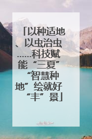 以种适地、以虫治虫……科技赋能“三夏” “智慧种地”绘就好“丰”景