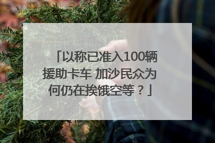 以称已准入100辆援助卡车 加沙民众为何仍在挨饿空等？