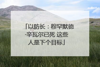 以防长：穆罕默德·辛瓦尔已死 这些人是下个目标