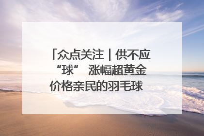 众点关注｜供不应“球” 涨幅超黄金 价格亲民的羽毛球为何身价飞涨？