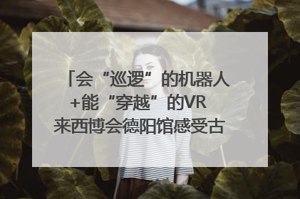 会“巡逻”的机器人+能“穿越”的VR 来西博会德阳馆感受古蜀文明与现代智造的时空对话｜西博视界