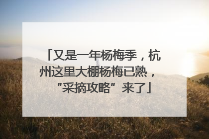又是一年杨梅季，杭州这里大棚杨梅已熟，“采摘攻略”来了