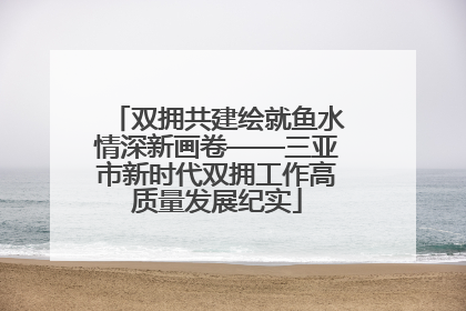 双拥共建绘就鱼水情深新画卷——三亚市新时代双拥工作高质量发展纪实