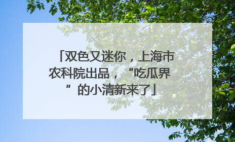 双色又迷你，上海市农科院出品，“吃瓜界”的小清新来了