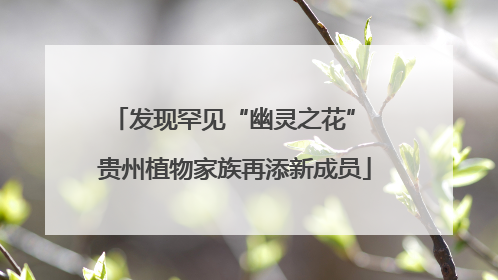 发现罕见“幽灵之花” 贵州植物家族再添新成员