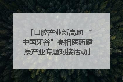 口腔产业新高地 “中国牙谷”亮相医药健康产业专题对接活动