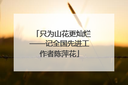 只为山花更灿烂——记全国先进工作者陈萍花