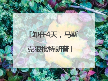 卸任4天，马斯克狠批特朗普