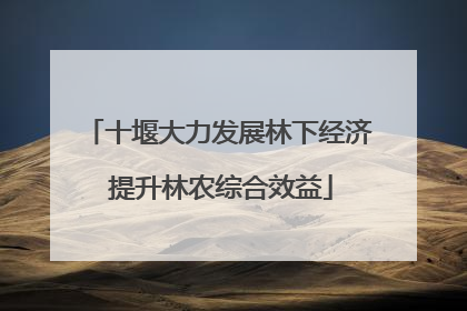 十堰大力发展林下经济 提升林农综合效益