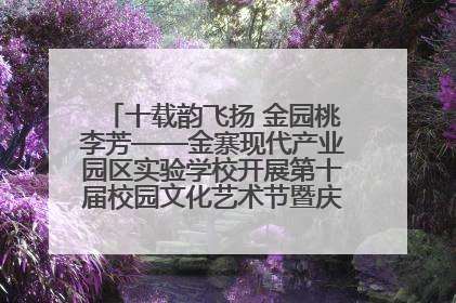 十载韵飞扬 金园桃李芳——金寨现代产业园区实验学校开展第十届校园文化艺术节暨庆“六一”系列活动