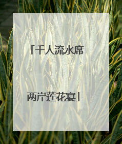 千人流水席 两岸莲花宴