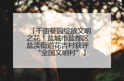 千亩葵园绽放文明之花！盐城市盐都区盐渎街道花吉村获评“全国文明村”