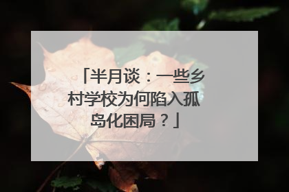 半月谈：一些乡村学校为何陷入孤岛化困局？