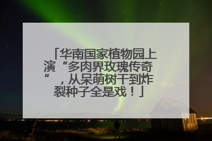 华南国家植物园上演“多肉界玫瑰传奇”，从呆萌树干到炸裂种子全是戏！