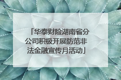华泰财险湖南省分公司积极开展防范非法金融宣传月活动