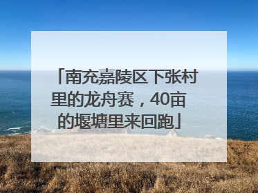 南充嘉陵区下张村里的龙舟赛，40亩的堰塘里来回跑