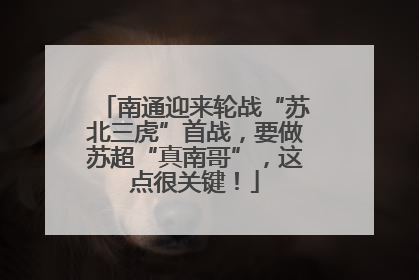 南通迎来轮战“苏北三虎”首战，要做苏超“真南哥”，这点很关键！