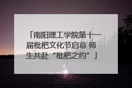 南阳理工学院第十一届枇杷文化节启幕 师生共赴“枇杷之约”