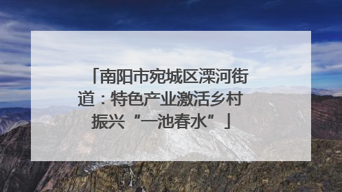 南阳市宛城区溧河街道：特色产业激活乡村振兴“一池春水”