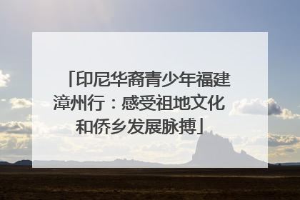 印尼华裔青少年福建漳州行：感受祖地文化和侨乡发展脉搏