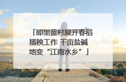 即墨蓝村展开春稻插秧工作 千亩盐碱地变“江南水乡”