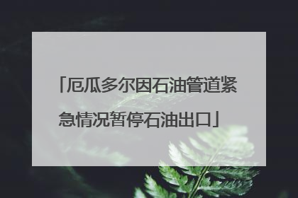 厄瓜多尔因石油管道紧急情况暂停石油出口