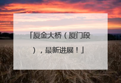 厦金大桥（厦门段），最新进展！