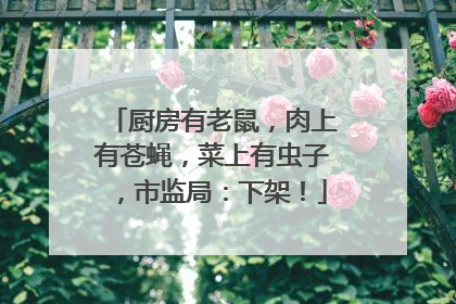 厨房有老鼠，肉上有苍蝇，菜上有虫子，市监局：下架！