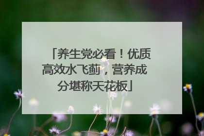 养生党必看！优质高效水飞蓟，营养成分堪称天花板