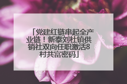 党建红链串起全产业链！新泰刘杜镇供销社双向任职激活8村共富密码